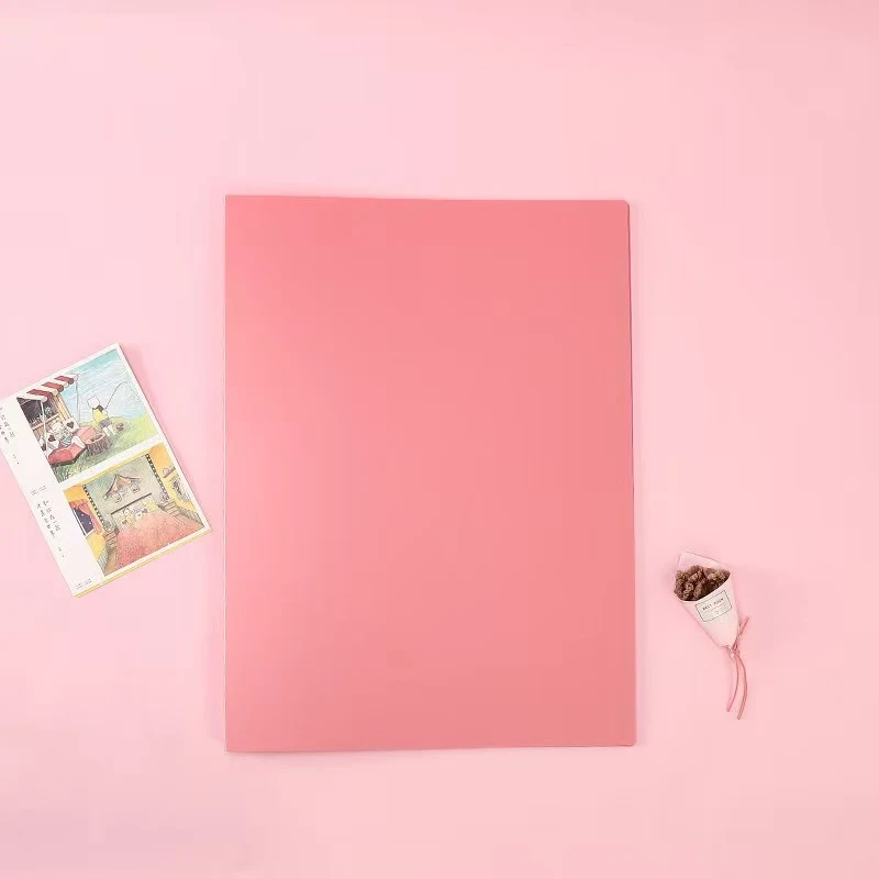 Heavy-Duty Polypropylene Folder 1