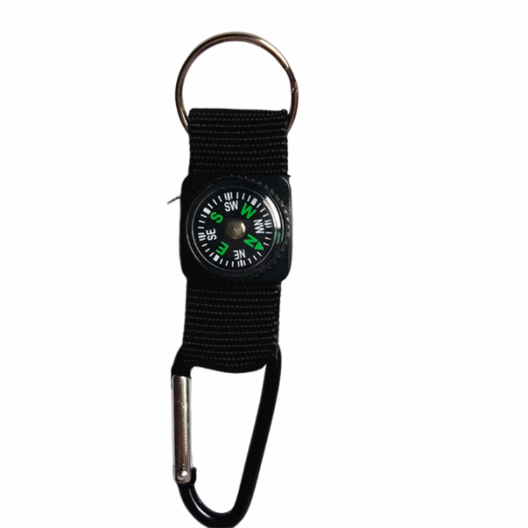 Lanyard with a Caompass and Carabiner