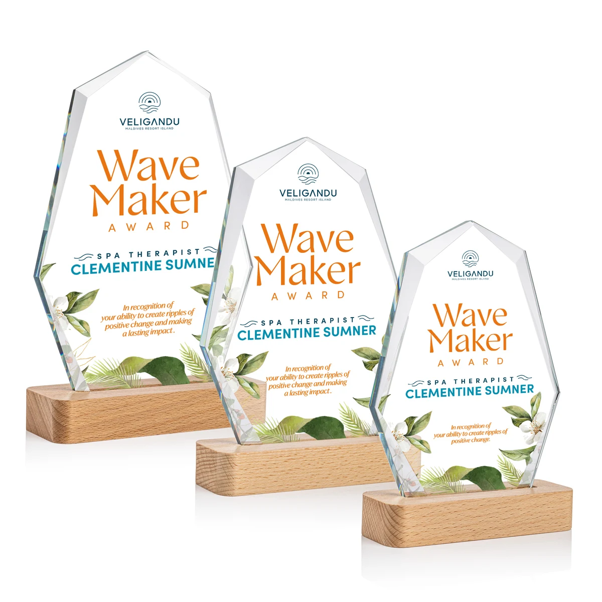 Andale VividPrint™ Award 1