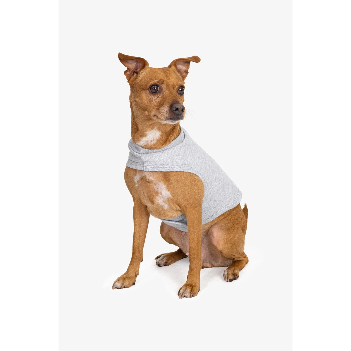 HEAVY FLEECE FLEECE DOG VEST 1