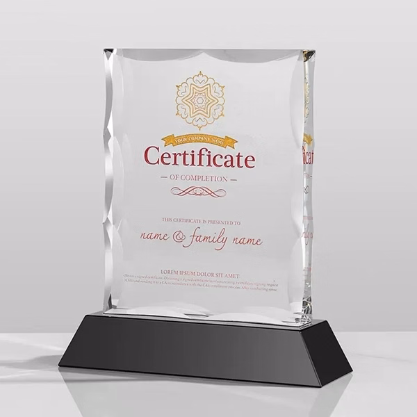 Crystal Black Accented Rectangle Trophy Award