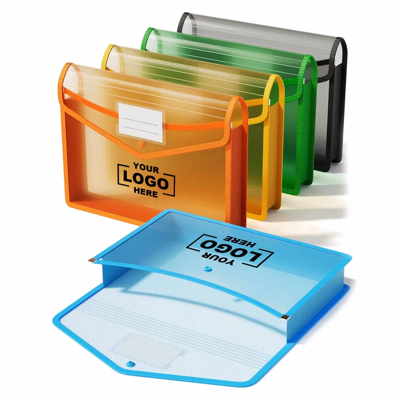 Transparent Plastic Expanding File Folder