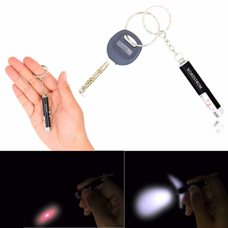 Laser Pointer Keychain With LED Flashlight