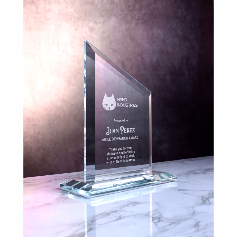 Starfire Clip Award (7"x6"x")