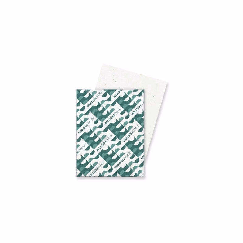 Card Stock Paper - 250 Sheets Stardust White