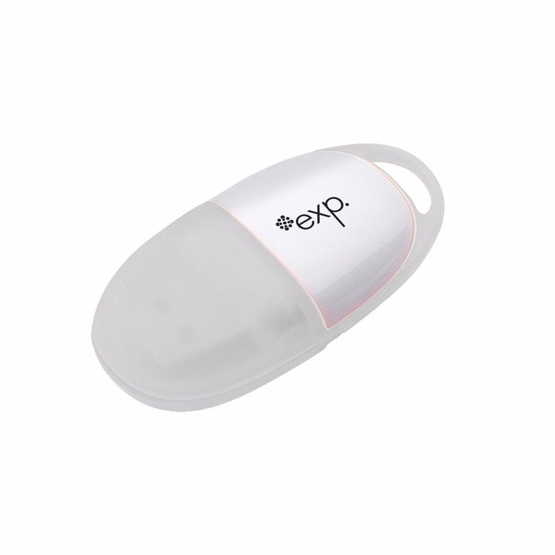Bugsy USB Flash Drive w/ Key Chain (1 GB)