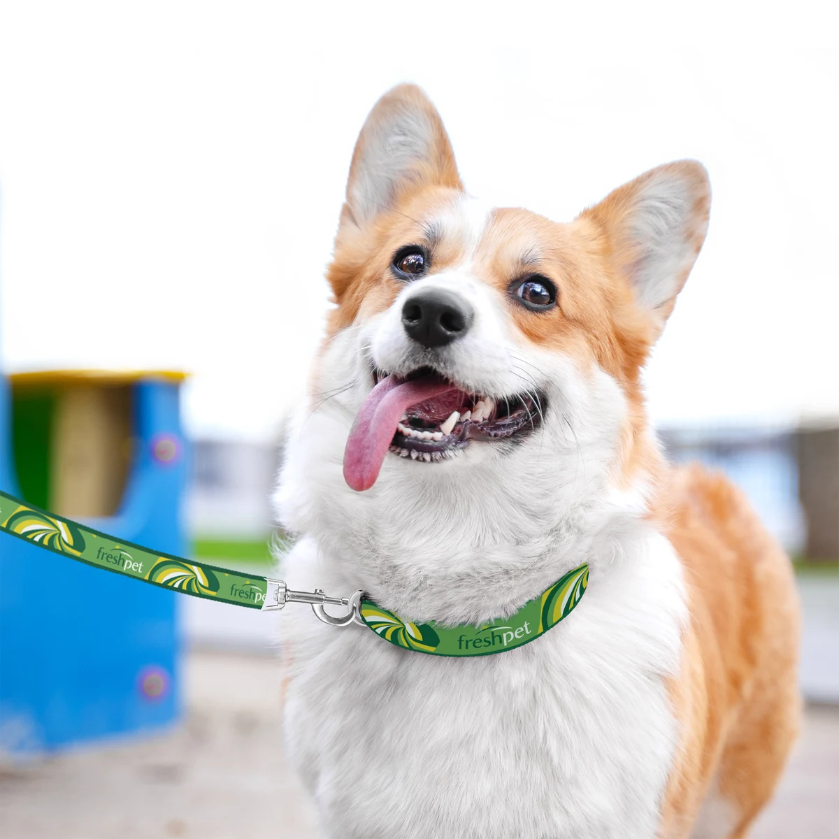 Full-Color Collar 1