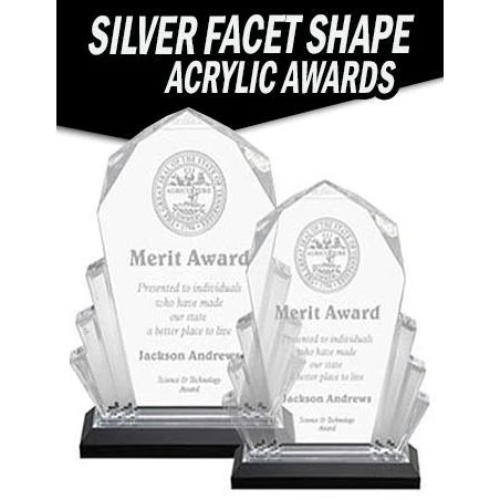 Acrylic: Facet 6x8", Silver/Black base 1