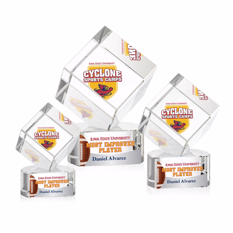 Burrill VividPrint™ Award on Paragon Base - Clear