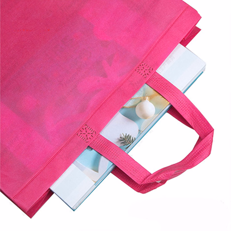 Reusable Handheld Carry Bag