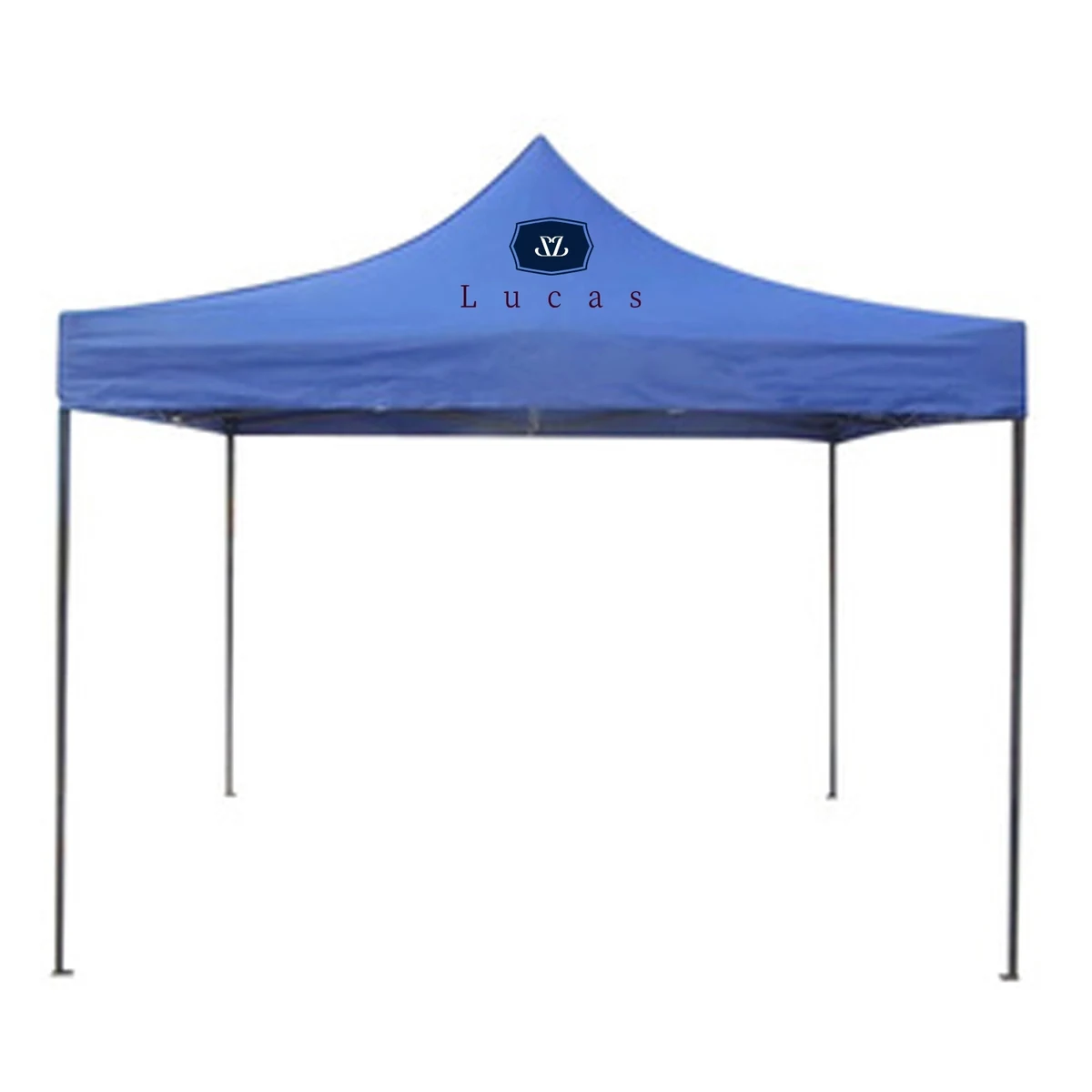 9.8' x 9.8'Foldable tent with cloth on all sides 1