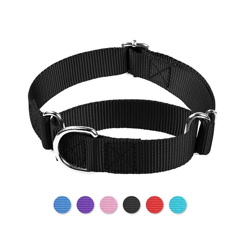 Dog Collars 1