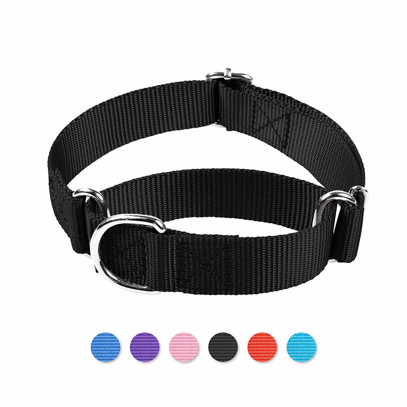 Dog Collars