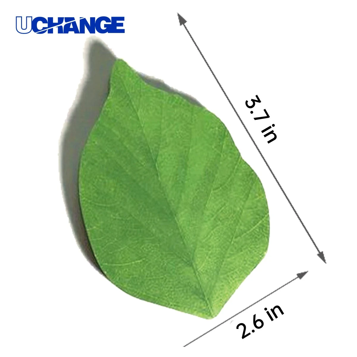 Leaf Sticky Notes Memo Pad 1