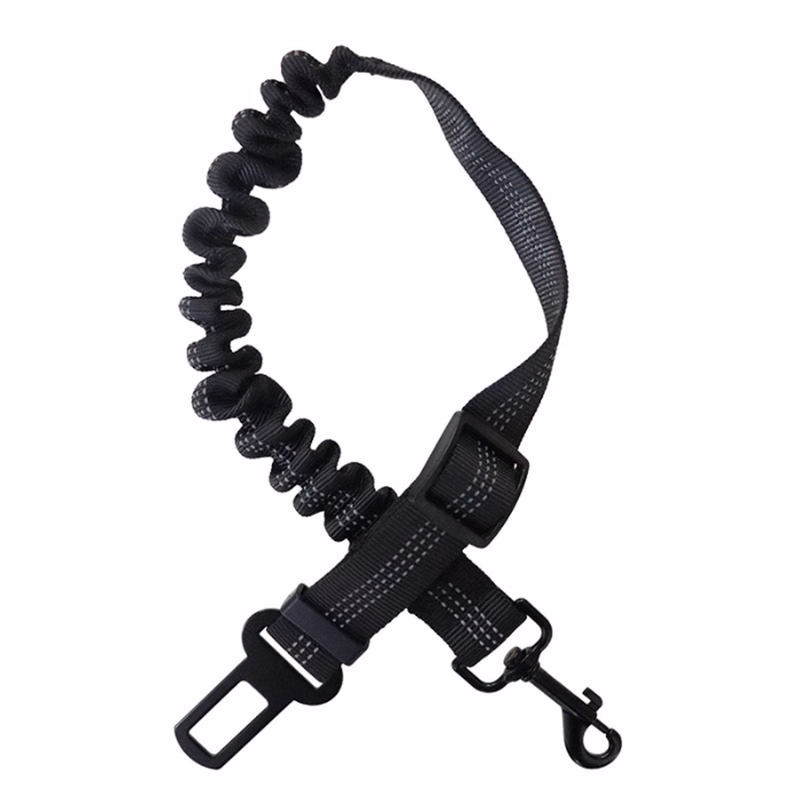 Seat Belt W/ Elastic Bungee Buffer