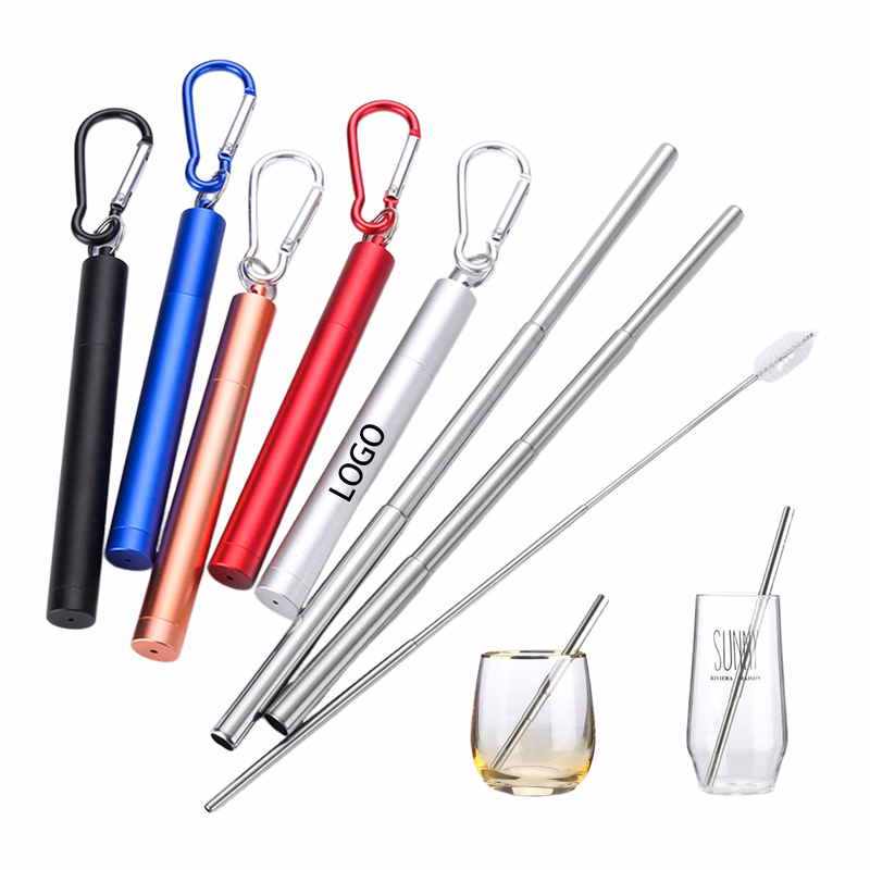 Steel Telescopic Straw with Case