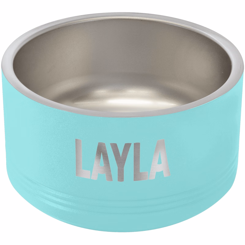 Polar Camel 18 oz. Small Teal Pet Bowl