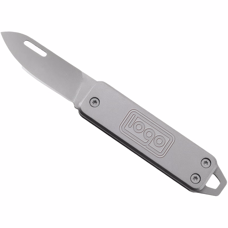 Stainless Steel Folding Knife
