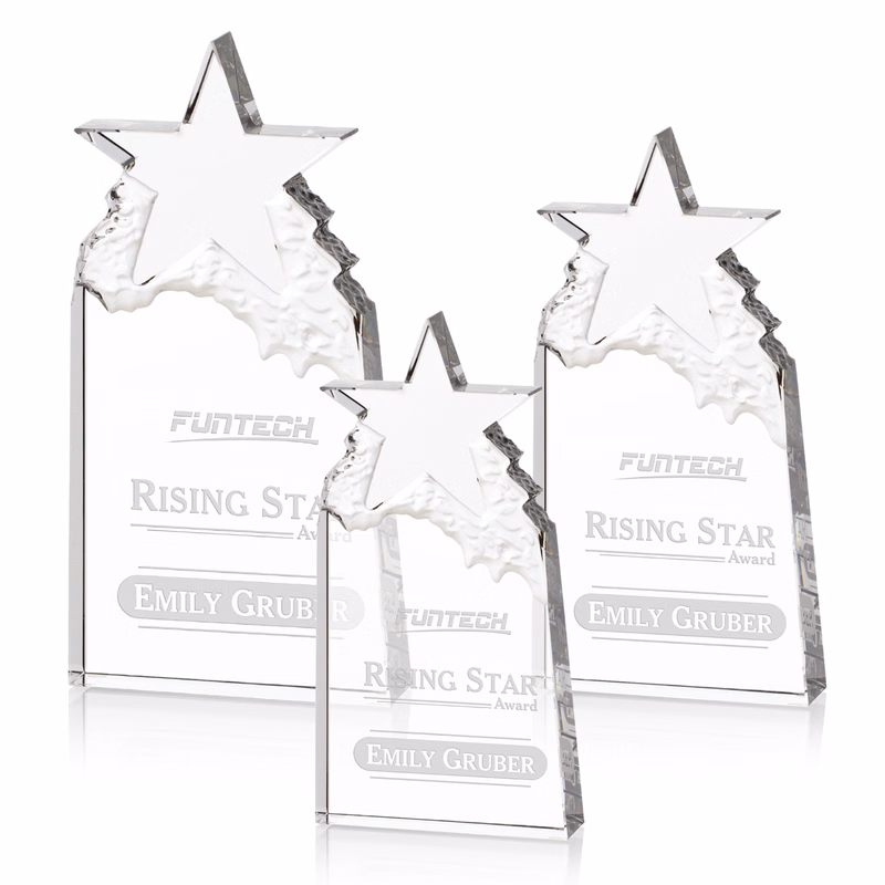 Augustine Award