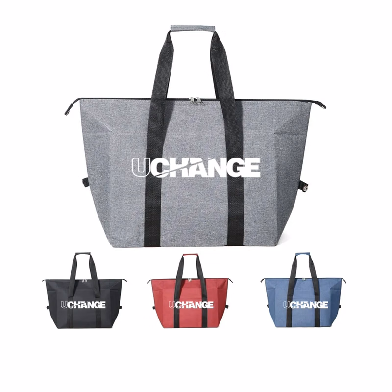 Collapsible Foldable Insulated Picnic Cooler Lunch Tote Bag