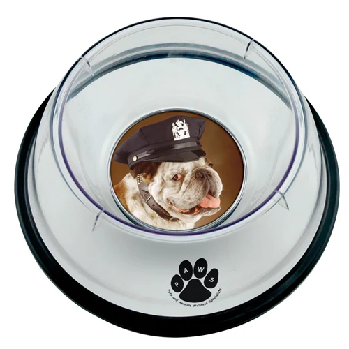 Small Pet Bowl 1
