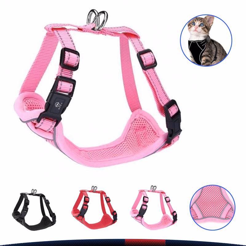 Cat Travel Seat Belt
