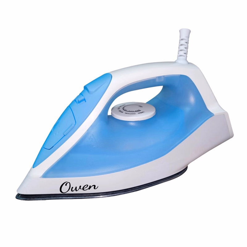 Handheld Steam Iron