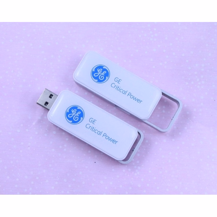 Simple Rectangle Swivel Design 2GB USB Flash Drive Memory Disk