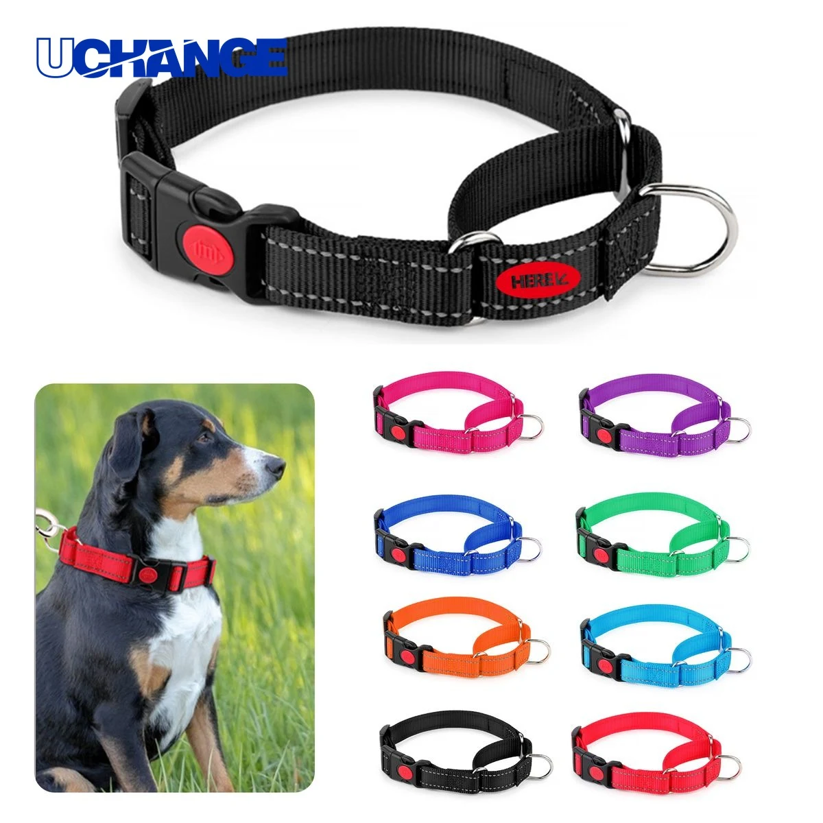 Adjustable Pet Collar Accessory for Dogs 1