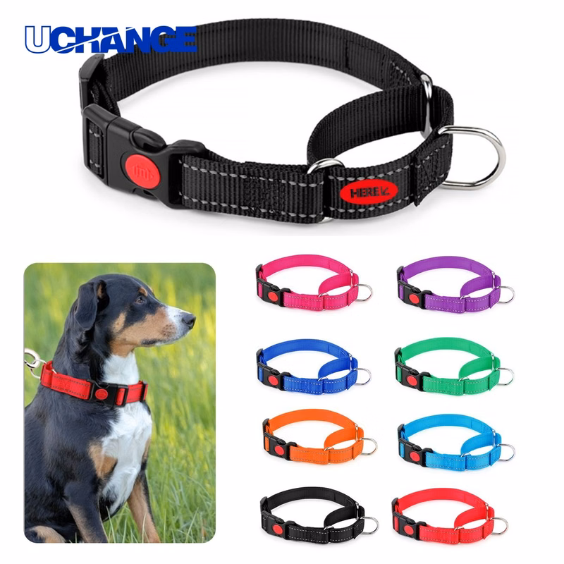Adjustable Pet Collar Accessory for Dogs