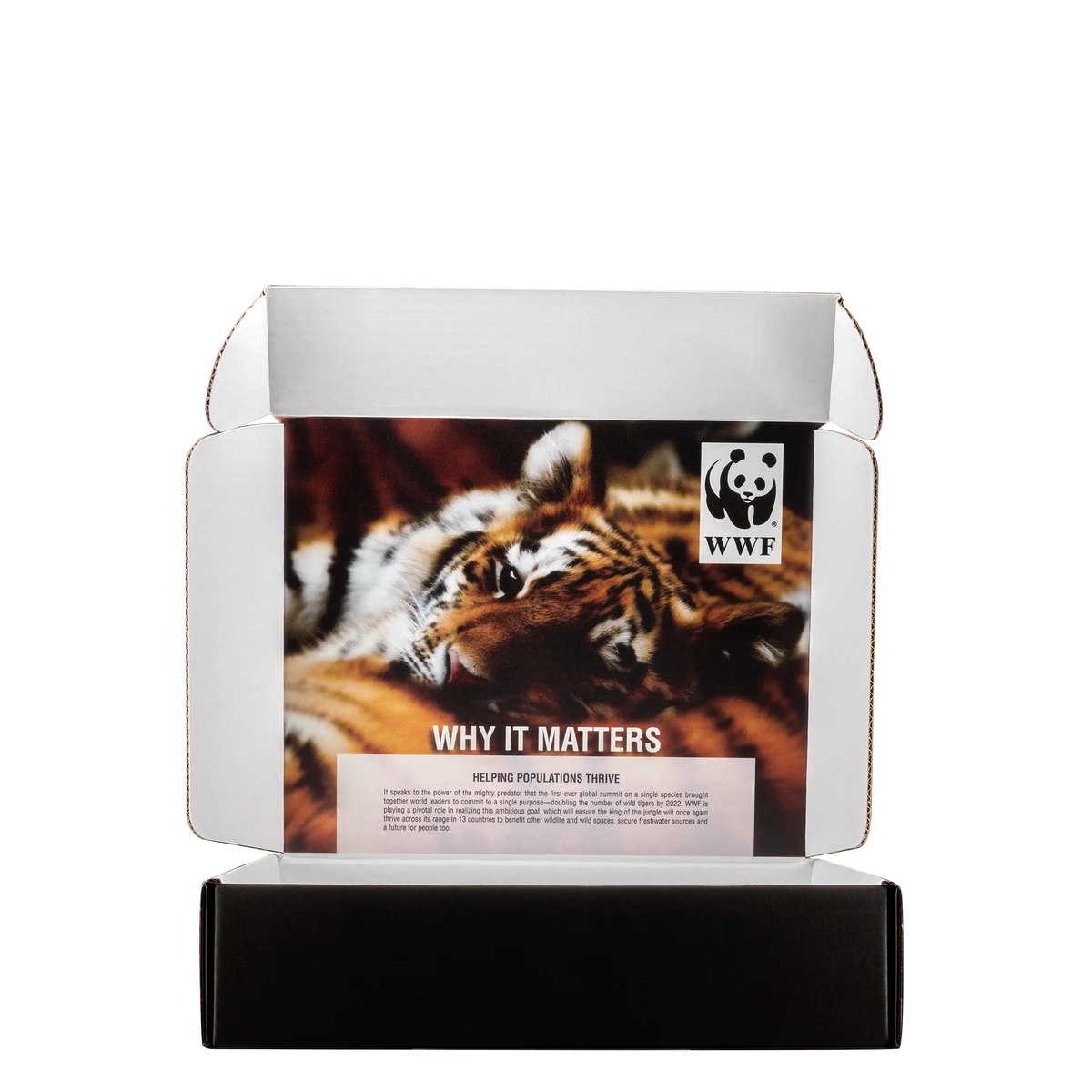 Mailing Box B-Flute 12.000" x 10.000" x 3.000" Group D - 360 sq in White Digital Print 1