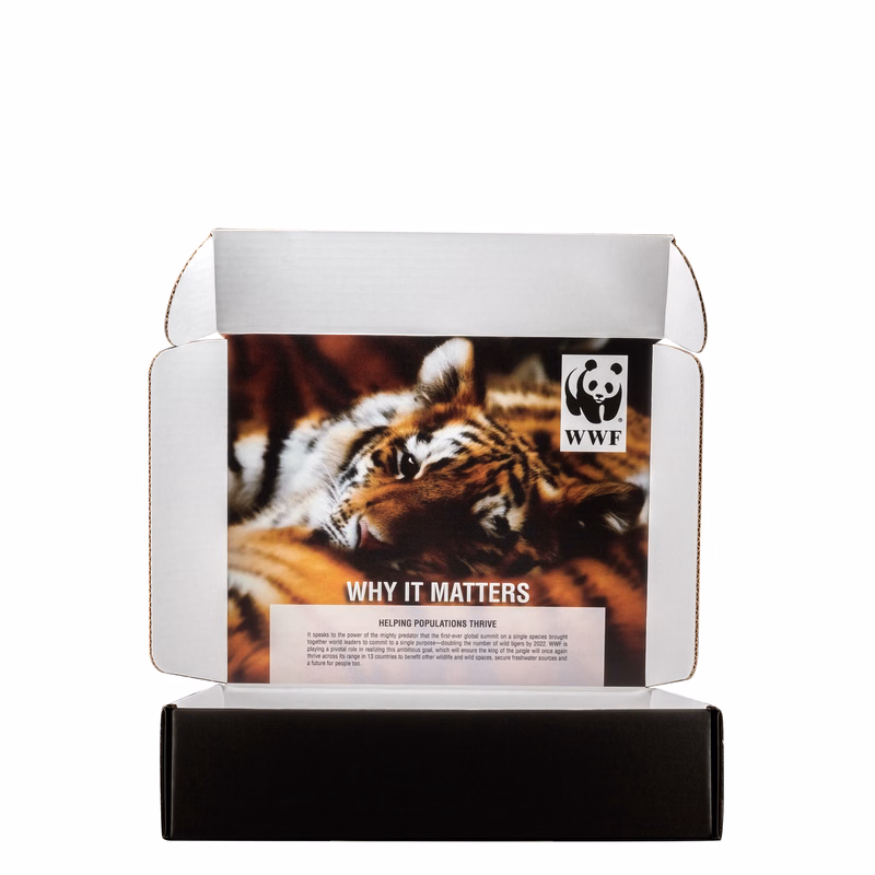 Mailing Box B-Flute 12.000" x 10.000" x 3.000" Group D - 360 sq in White Digital Print