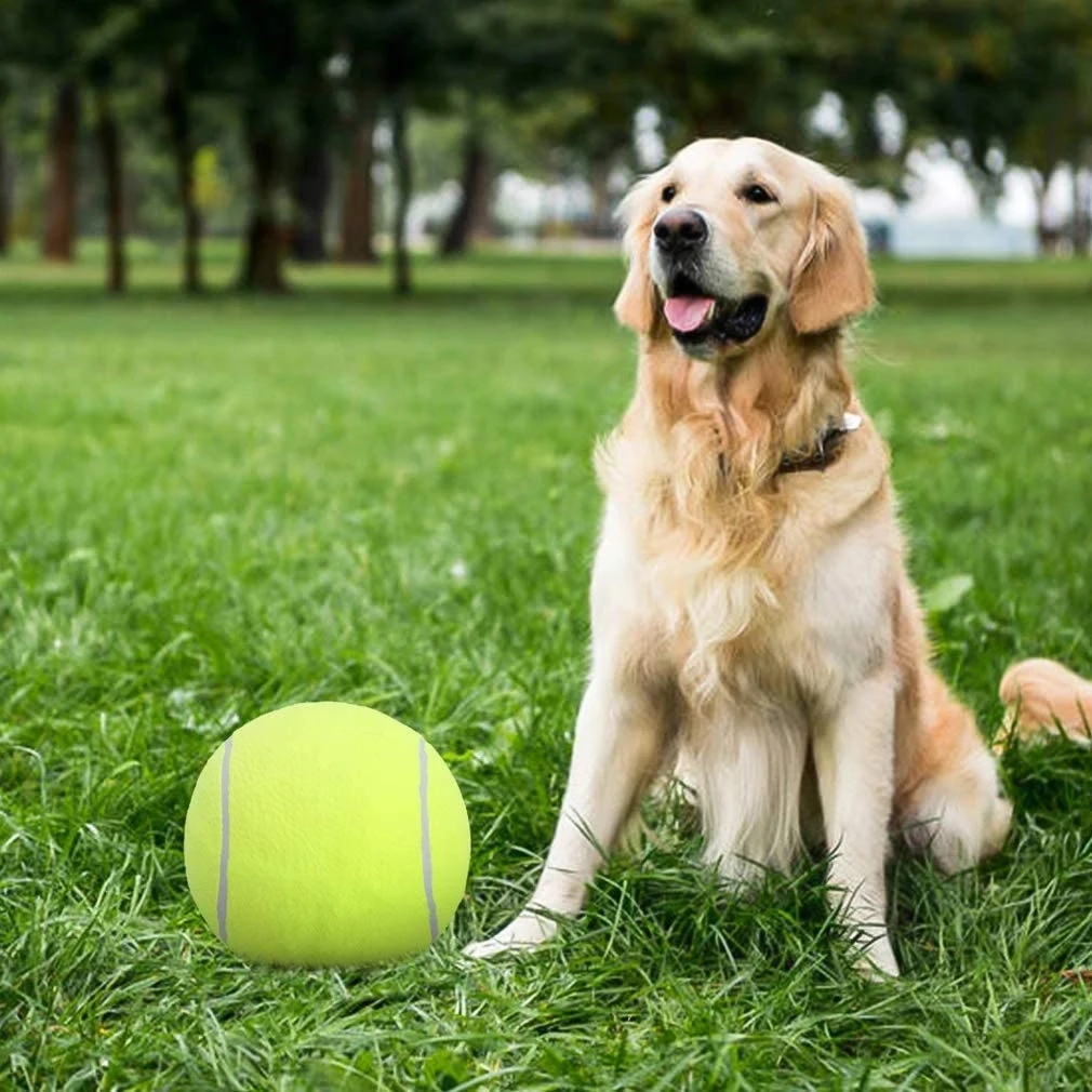 Large Tennis Ball Doggie Puzzle Toys 1