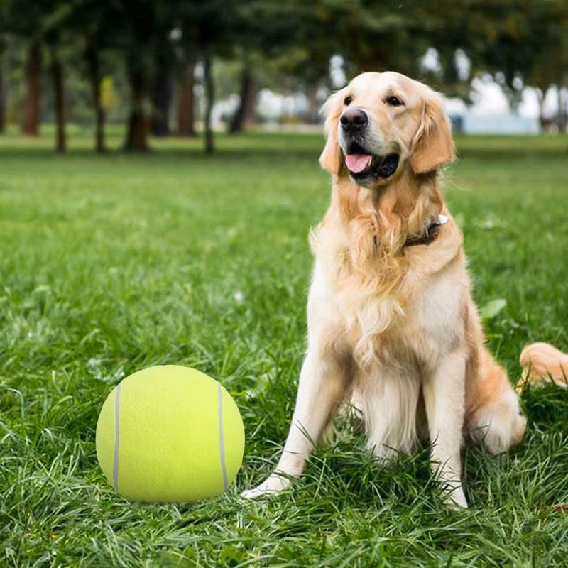 Large Tennis Ball Doggie Puzzle Toys