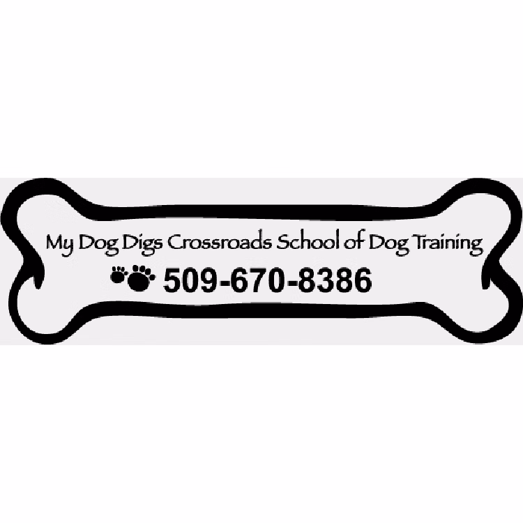 Custom 2.53" x 7.95" Dog Bone Car Magnet