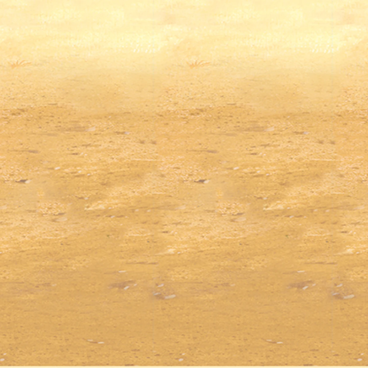 Desert Sand Backdrop 1