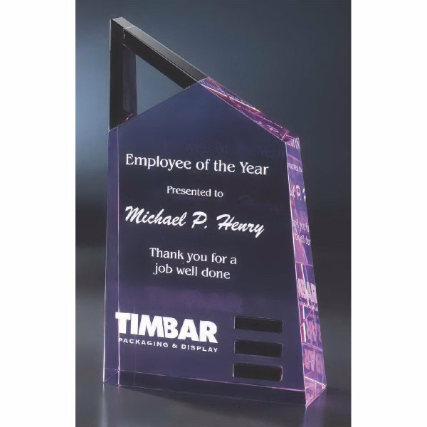 Technique Award