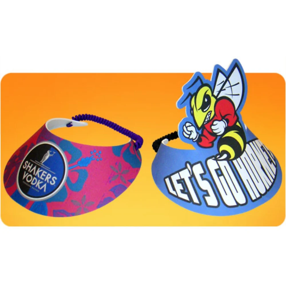 Standard Rally Visor 1