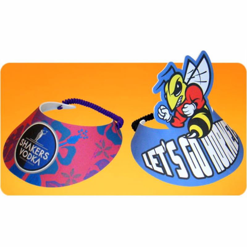 Standard Rally Visor