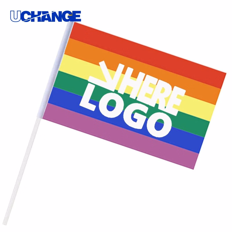 Small Progress Pride Rainbow Flag Display