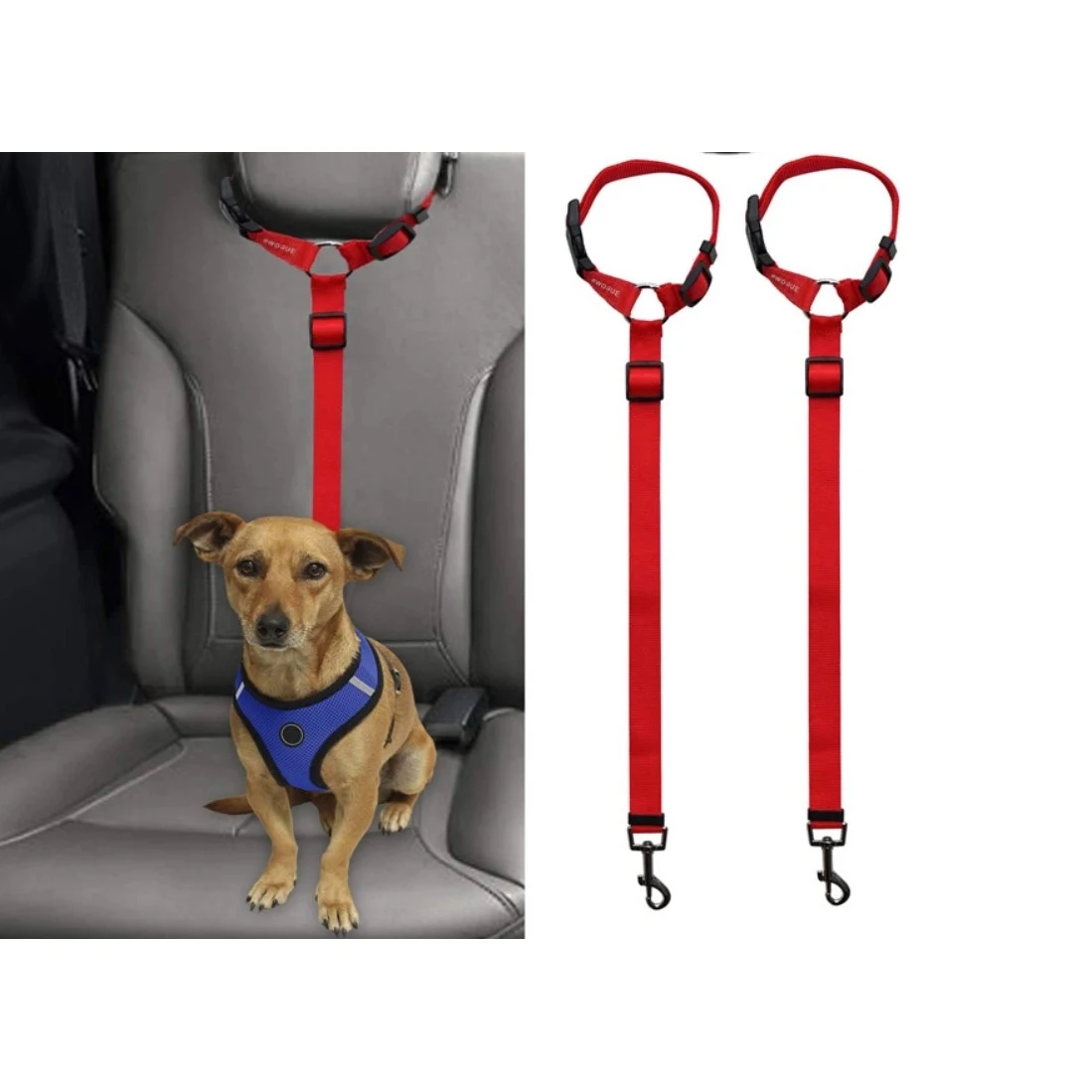 Pet Car Carrying Safety Rope Ring 1