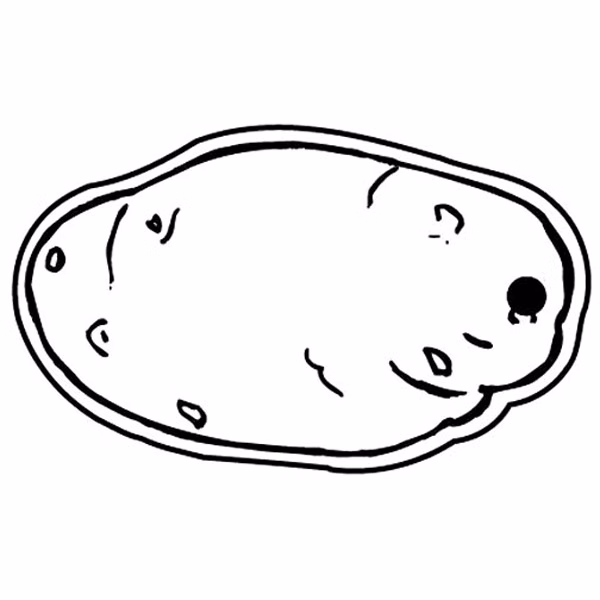 Potato Key Tag - Spot Color
