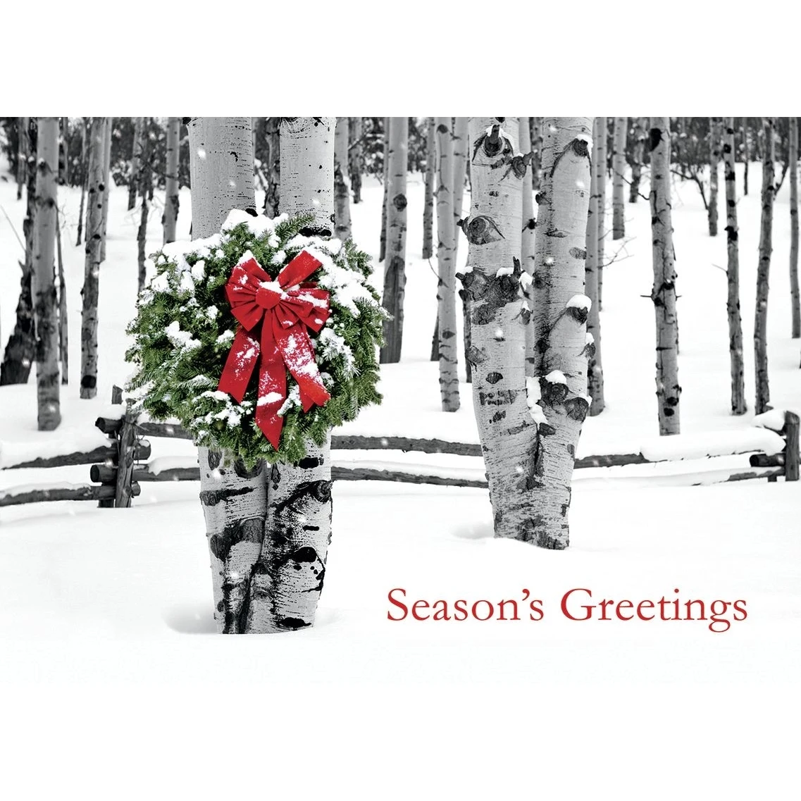 Birch Grove Holiday Cards 1