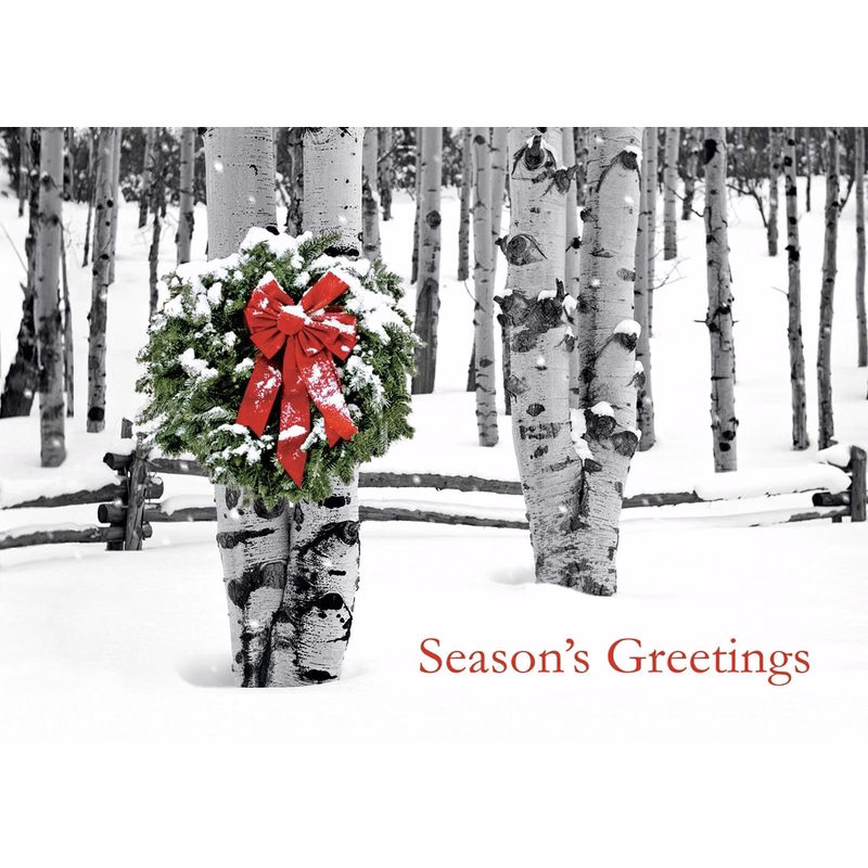 Birch Grove Holiday Cards
