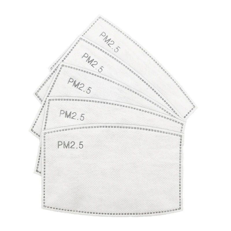 PM Filter 2.5 1