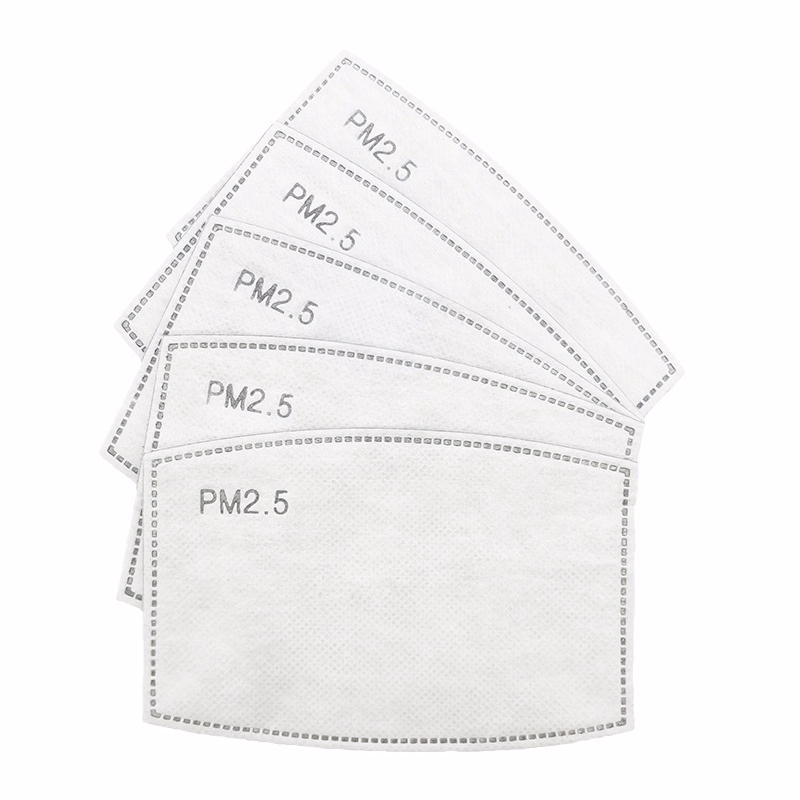 PM Filter 2.5