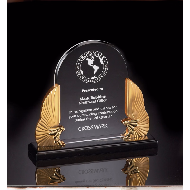 Winged Eagle Acrylic Clear Individual Box 9.5"
