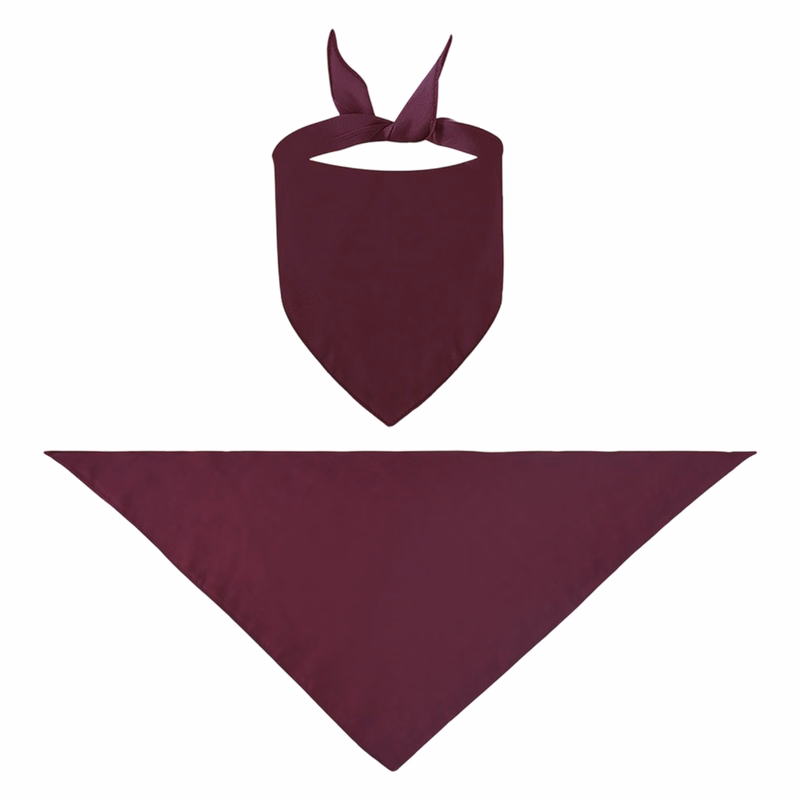 Customizable Triangle Pet Bandanas for Medium to Large Dogs