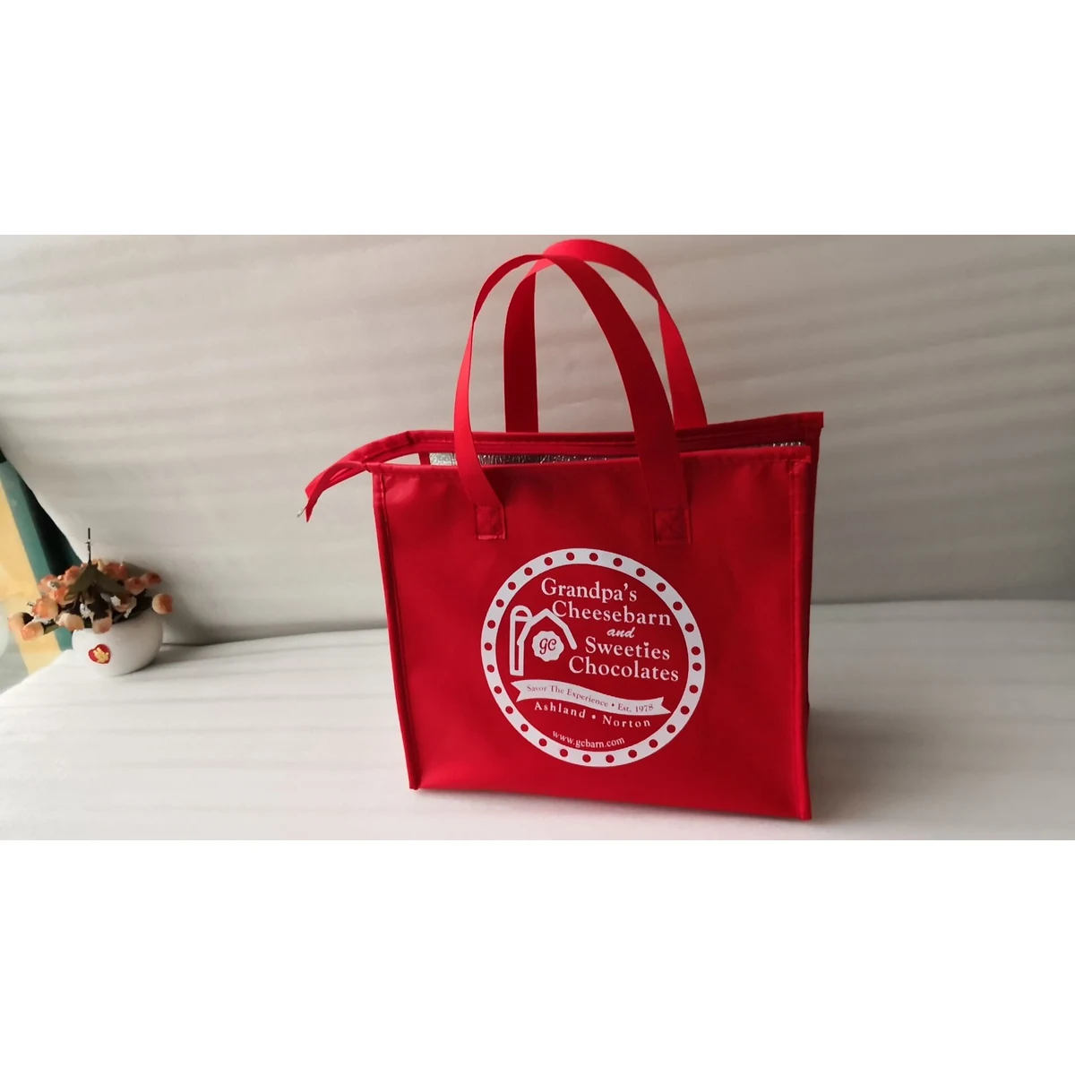 Non Woven Cooler Bag 1