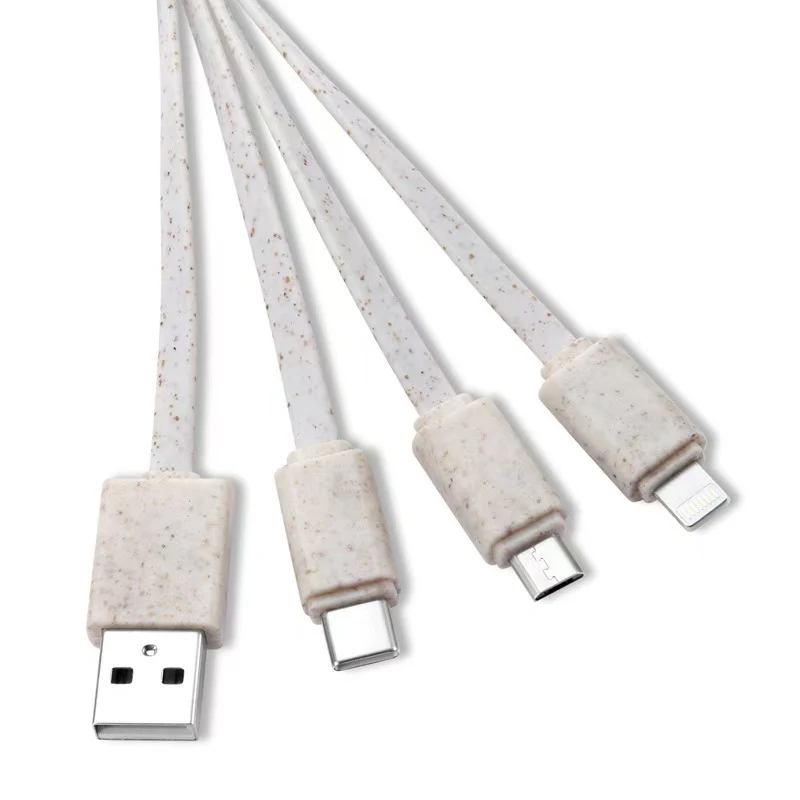 Keychain Eco Friendly 3 in 1 Cable 1
